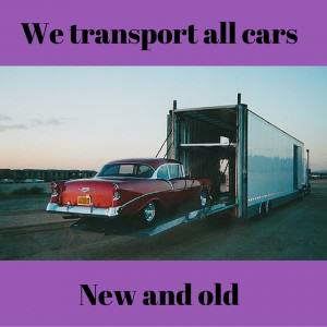 cartransportaus 12
