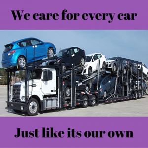 cartransportaus 19