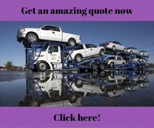 cartransportaus 20
