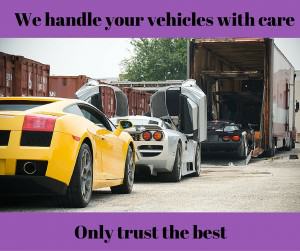 cartransportaus 6